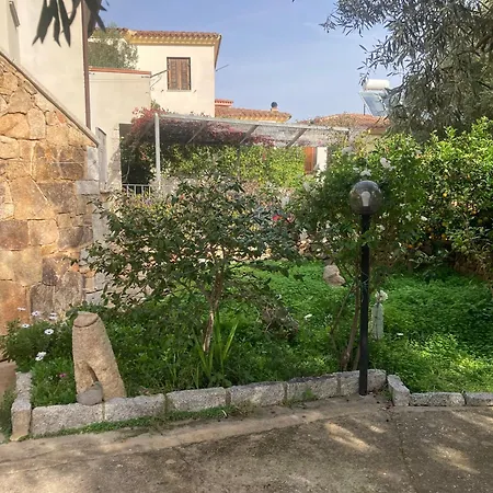 Olivastro * Posada (Sardinia)