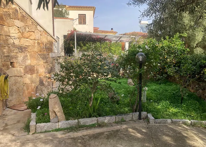 Olivastro * Posada (Sardinia)